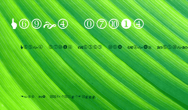 Wingdings 2 example