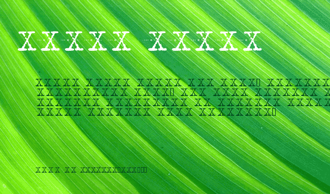 XFont example