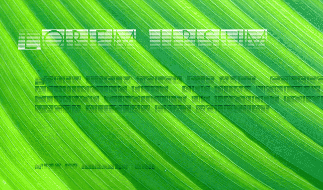 XperimentypoStripes example