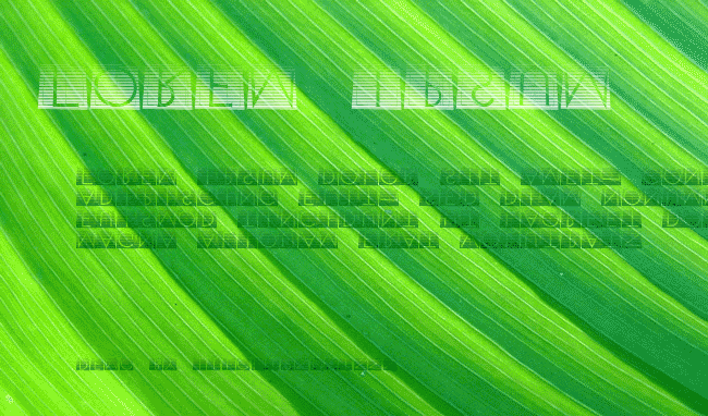 XperimentypoTwoStripes example