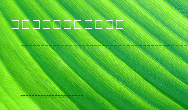 AC1-Menorah example