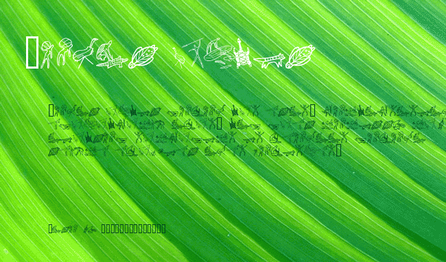 Aboriginebats One example