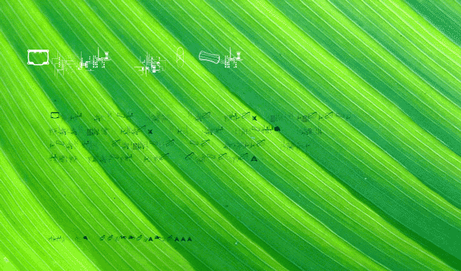 CroCro example