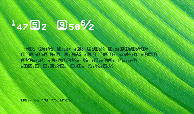 Expo Numerals example