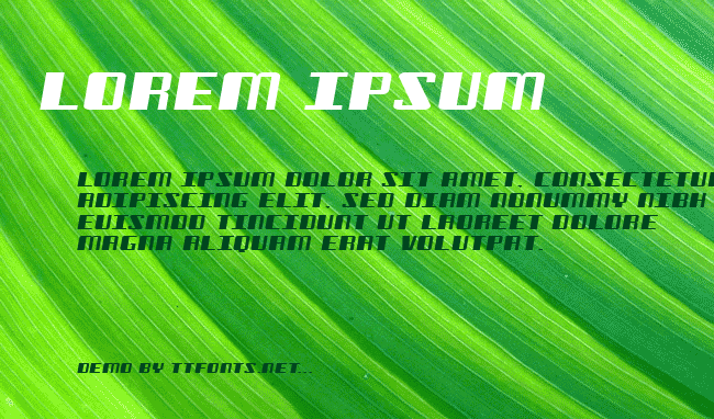 Freezer BTN Wide example