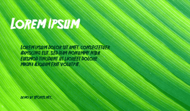 Friday13 Bonus NFI example