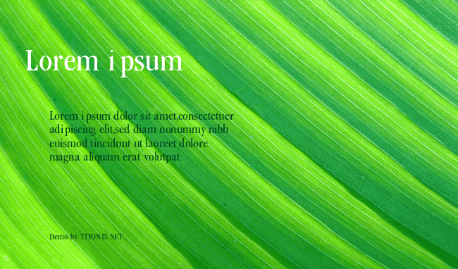 Garamond_Condenced-Normal example