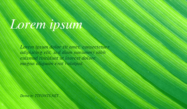Giel Bold Italic example