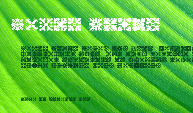 Hawaiian Quilt1 example