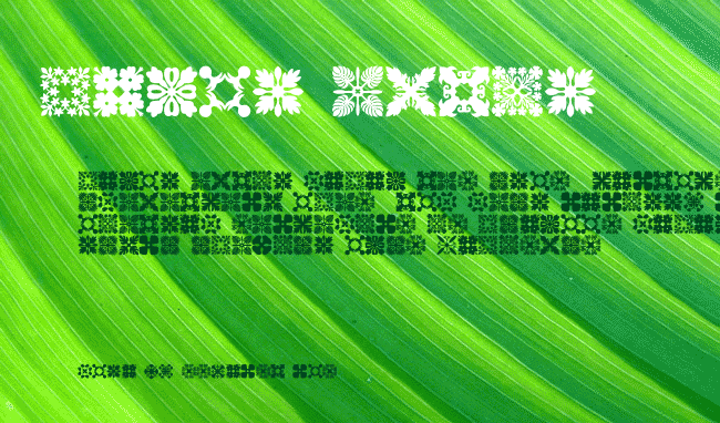 Hawaiian Quilt3 example