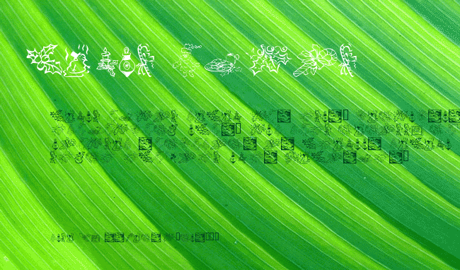 KR Christmas Dings 2004 Five example
