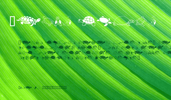 Keya's Turtles example