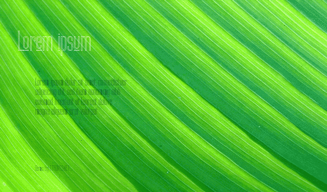 Labtop Upper Outline example