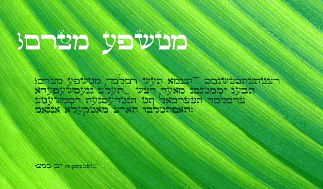 Lashon Tov example
