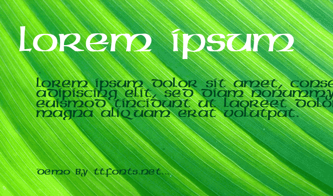 Megen example
