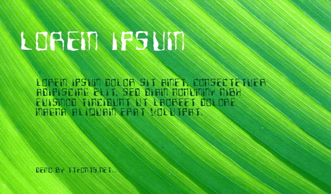 Ninteen 77 example