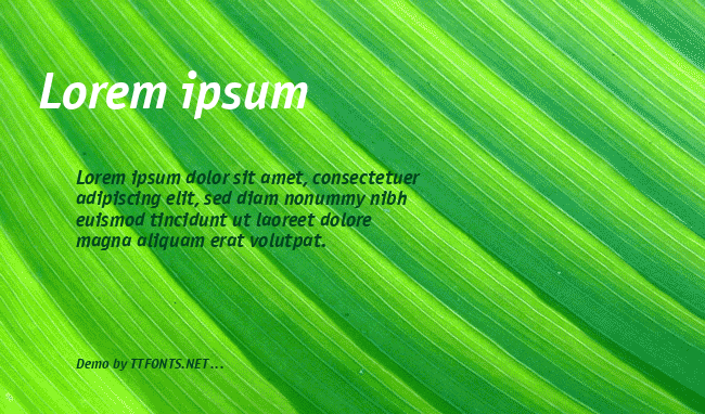 OfficinaSansCTT example