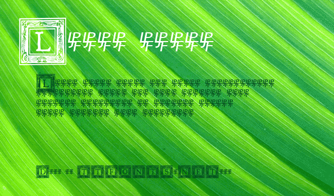 QuaNauticale_Initials_No2 example
