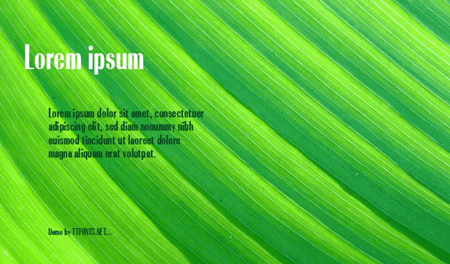 Radiant Bold Condensed example
