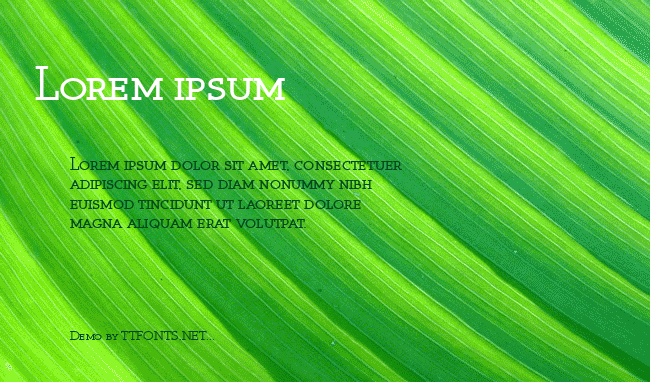 Register Serif BTN SC example