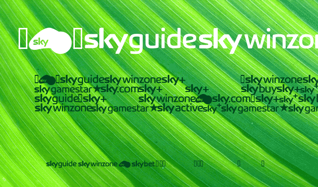 SKYfontbrands example