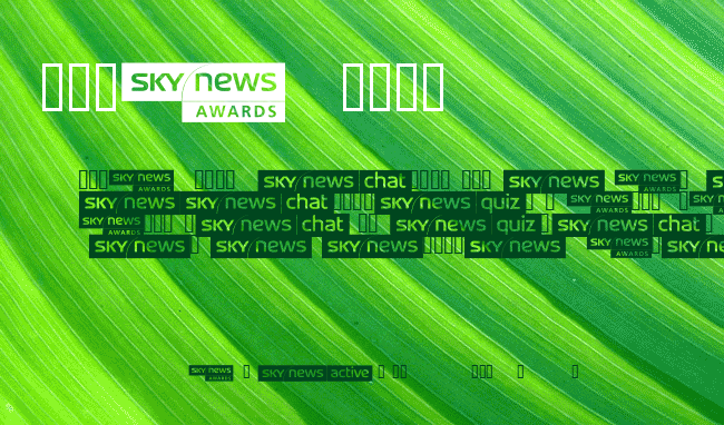 SKYfontnews example