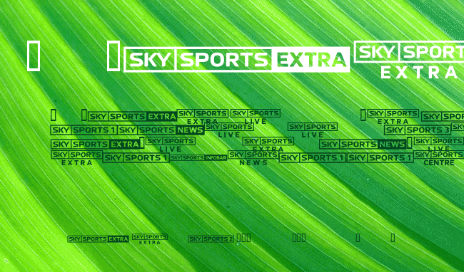 SKYfontsport example