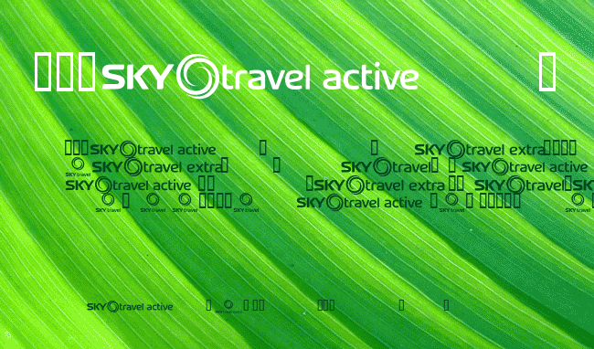 SKYfonttravel example