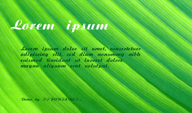 Script example