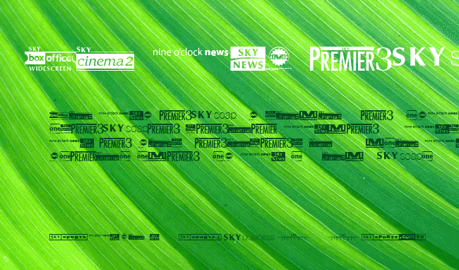 Sky 1998 Channel Logos example