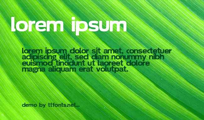 Soolidium example