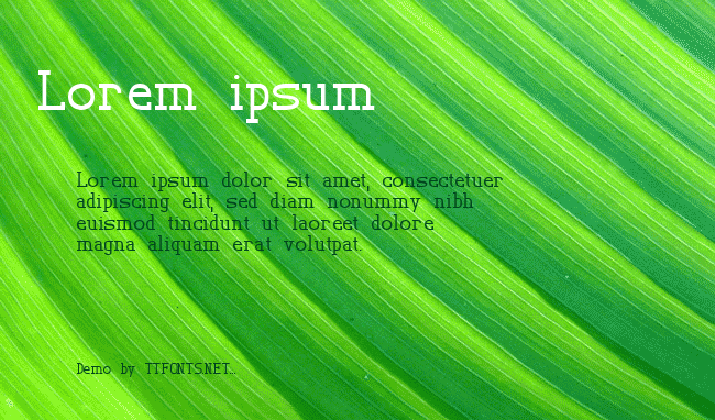 TL Serif example
