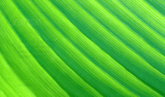 Tall Films Fine Oblique example