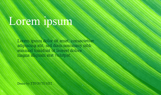 Times New Roman KOI8 example