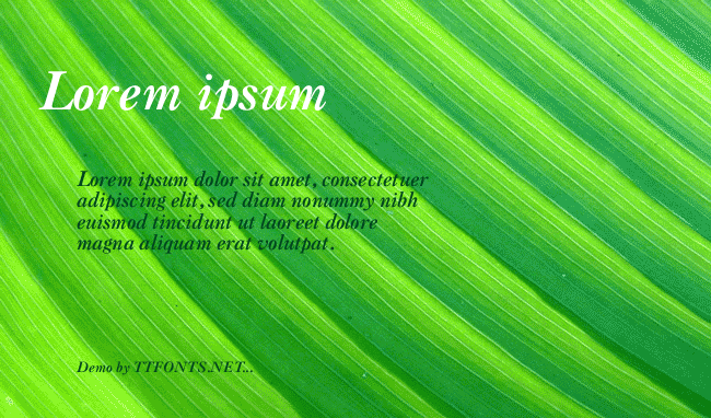 Tintinabulation Bold Italic example