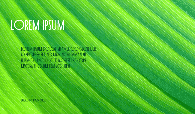 Toasted Vein BTN example