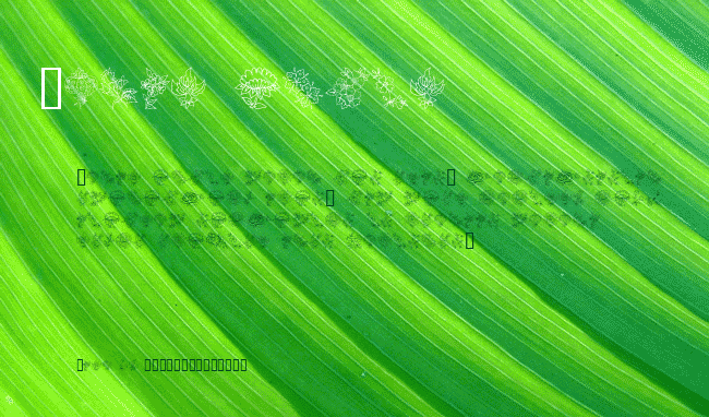 Traditional Floral Design II example