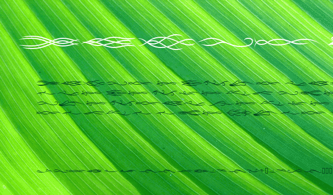 Tribal Dividers BTN example