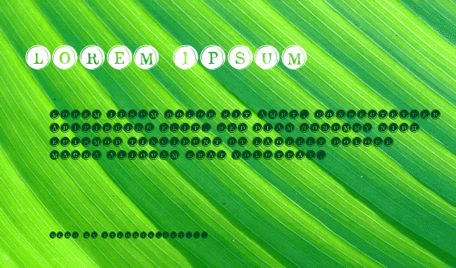 Type Keys Filled example