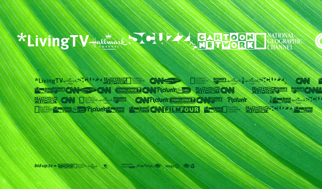 UK Digital TV Channel Logos example