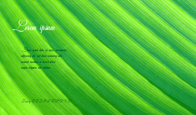Wedding_Script example