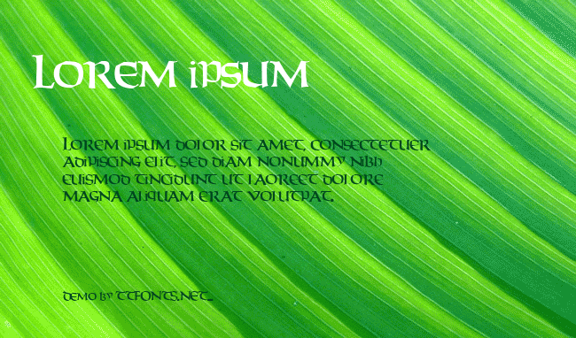 WeekenderType123 example