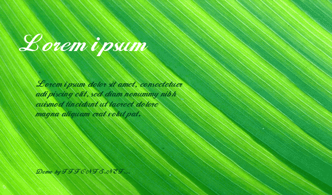 WhimsiScriptSSK example
