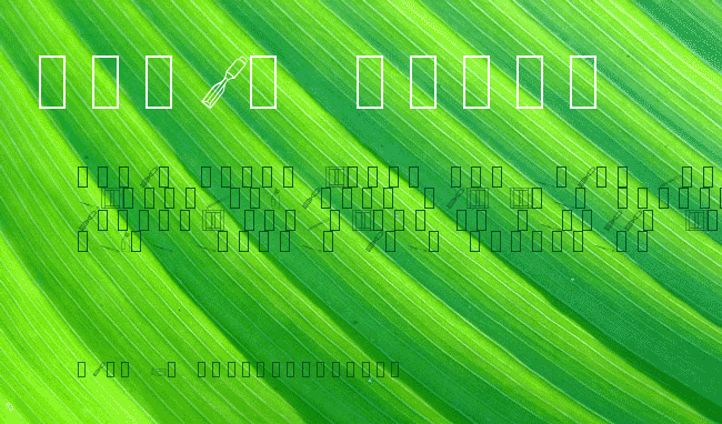 Workshop Dings Trial Version example