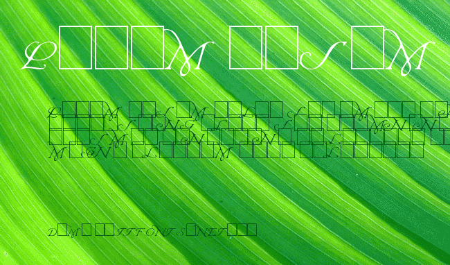 Wrenn Initials Light example