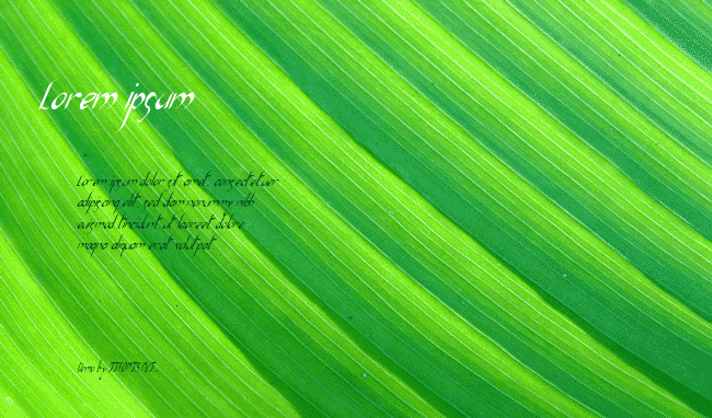 Xaphan II Condensed Italic example