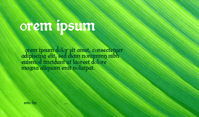 fin fraktur example