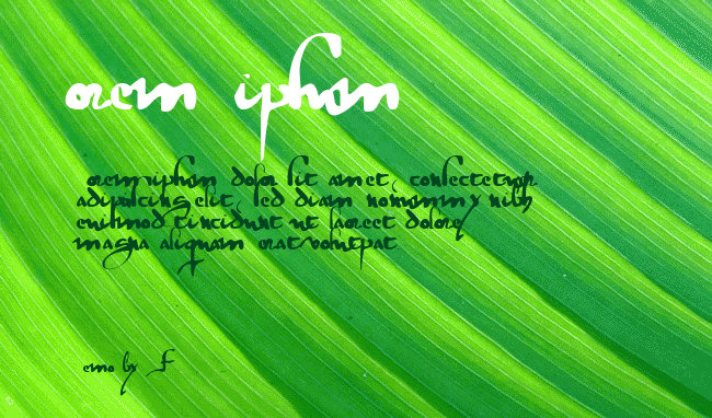 gotische example