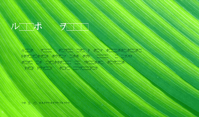 Katakana example