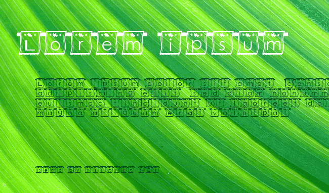 wl Font example